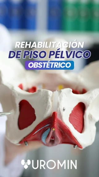 Durante el embarazo y después del parto, tu piso pélvico también puede prepararse y recuperarse, con acompañamiento experto en cada etapa, para que vivas esta etapa con más bienestar.

¿Tienes preguntas sobre tu proceso? Escríbenos.