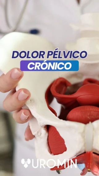 El dolor pélvico que persiste no debería convertirse en parte de tu rutina.

Cuando las molestias se mantienen durante semanas o meses, aparecen al evacuar, durante algunas actividades o interfieren con tu día a día, es importante identificar qué las está causando.

El dolor pélvico crónico puede involucrar diferentes estructuras y cada caso requiere una valoración individual.

En UROMIN podemos orientarte y acompañarte durante el proceso. Agenda tu consulta con nuestros especialistas.

#DolorPélvico #DolorPélvicoCrónico #PisoPélvico #SaludPélvica #SaludFemenina #UROMIN
