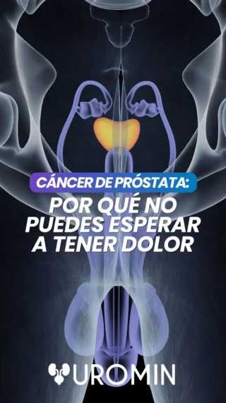 ¿Estás esperando sentir dolor para chequear tu próstata? Podrías estar llegando tarde.
En sus primeras etapas, el cáncer de próstata puede no causar dolor. Además, algunos cambios al orinar pueden confundirse con condiciones más comunes.

La diferencia la hace una valoración completa, no la suposición.
Si tienes más de 45 años o has notado cambios al orinar, agenda tu valoración en UROMIN. Te ofrecemos una ruta clara, profesional y discreta.
