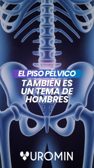El piso pélvico no es exclusivamente femenino. En los hombres participa en funciones como el control urinario y puede necesitar rehabilitación después de algunos procedimientos urológicos.
La valoración funcional permite reconocer necesidades reales y definir un plan individual.
Escríbenos para conocer la unidad de rehabilitación de piso pélvico.