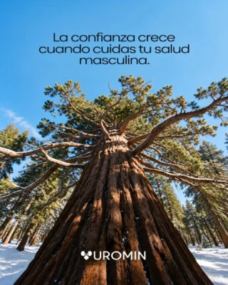 Hay inquietudes sobre la salud masculina que se dejan para después. Darles atención es un paso importante para cuidar su bienestar y sentirse más tranquilo en su día a día.

Una valoración permite conversar sobre lo que le preocupa, recibir orientación profesional y conocer las opciones de atención según sus necesidades.

Escríbanos para solicitar su valoración.

#SaludMasculina #AtenciónProfesional #UROMIN #Chía